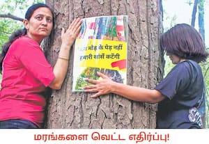 உத்தரகண்ட் மாநிலம் டேராடூனில் ரிஷிகேஷ்- பானியாவாலா தேசிய நெடுஞ்சாலையை ...