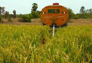  திருவண்ணாமலை மாவட்டம் செய்யார் அடுத்த தூளி கிராமத்தில்,  பயிர்களை ...
