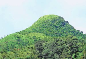 பந்தலூர் குரூஸ் மலை அண்மையில் பெய்த பருவமழையால் பசுமைக்கு மாறியுள்ள ...