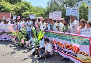  திருவண்ணாமலை கலெக்டர் அலுவலகம் முன் தமிழ்நாடு தோட்டக்கலை அலுவலர்கள் ...