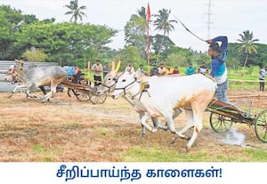 கர்நாடக மாநிலம் மைசூரு அருகே உள்ள சித்தலிங்கபுரா கிராமத்தில் ...
