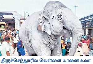 சுந்தரமூர்த்தி நாயனாருக்கு ஐராவதம் என்ற வெள்ளை யானை வடிவில் சிவபெருமான் ...