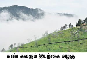நீலகிரி மாவட்டத்தில் மழை, வெயில் என மாறி வரும் காலநிலை மாற்றத்தால் ...