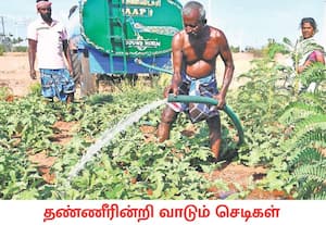  திருநெல்வேலி மாவட்டம் மானூர் சுற்றுவட்டார பகுதிகளில் போதிய மழையின்றி ...