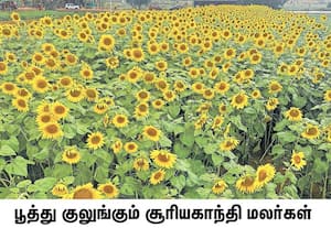 கர்நாடக மாநிலம் மைசூரு தேசிய நெடுஞ்சாலையை ஒட்டி அங்கலா கோபாலசுவாமி ...
