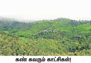 பந்தலூர் அருகே சேரங்கோடு பகுதியை ஒட்டிய அய்யன்கொல்லி மற்றும் கேரளா ...
