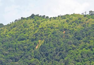 கூடலூர் அருகே உள்ள நாடுகாணி பகுதியில் ஆங்கிலேயர் காலத்தில் தோண்டப்பட்ட ...