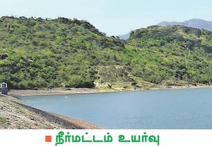  நீர்ப்பிடிப்பு பகுதிகளில் பெய்து வரும் மழையால் அமராவதி அணையின் ...
