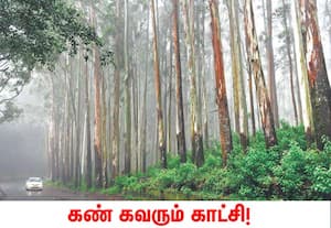  ஊட்டி கூடலூர் சாலை ஊசிமலை அருகே அவ்வப்போது வரும் மேகமூட்டம் அப்பகுதியை ...