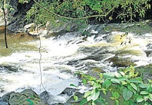 கூடலூரில் உற்பத்தியாகி கேரளா நோக்கி செல்லும் பாண்டியார் புன்னம்புழா ...