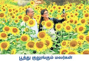  தென்காசி மாவட்டம் சுரண்டை அருகே சுந்தரபாண்டியபுரம் பகுதியில் உள்ள ...