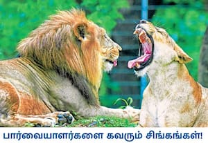 தெலுங்கானா மாநிலம் ஹைதராபாதில் உள்ள நேரு விலங்கியல் பூங்கா நம் நாட்டில் ...