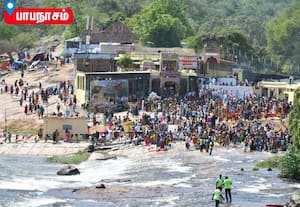 ஆடி அமாவாசையையொட்டி பாபநாசம் சொரிமுத்து அய்யனார் கோவில் முன்புள்ள ...
