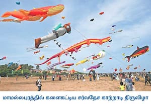 செங்கல்பட்டு மாவட்டம், மாமல்லபுரத்தில் சர்வதேச காற்றாடி திருவிழாவில் ...