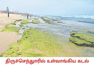 தூத்துக்குடி மாவட்டம் திருச்செந்தூர் சுப்பிரமணிய சுவாமி கோவில் முன் ...