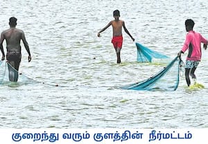வெயிலின் தாக்கத்தால் திருநெல்வேலி சுற்றுவட்டார பகுதிகளில் உள்ள ...