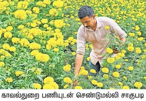 கேரளா மாநிலம் பாலக்காடு மாவட்டம் சித்தூர் கோணம்புள்ளி பகுதியில் உள்ள ...