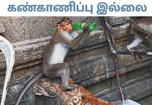  வனப்பகுதியில் பிளாஸ்டிக் பொருட்கள் பயன்படுத்தக்கூடாது என ...