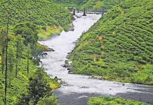  வால்பாறையில்  பெய்யும் பருவமழையால் சோலையாறு அணையின் நீர்பிடிப்பு ...