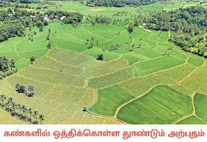  நாம் நலம் வாழ பசுமைப்பரப்பு இன்னும் விரிய வேண்டும். இடம்:குழல்மன்னம், ...