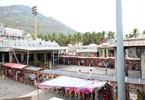  திருவண்ணாமலை அருணாசலேஸ்வரர் கோவிலில், சுவாமி தரிசனம் செய்ய ஏராளமான ...