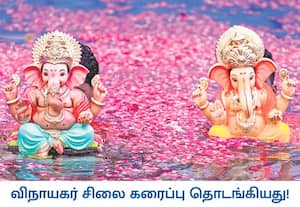 மஹாராஷ்டிரா மாநிலம் மும்பையின் சிவாஜி பூங்காவில் அமைக்கப்பட்ட செயற்கை ...