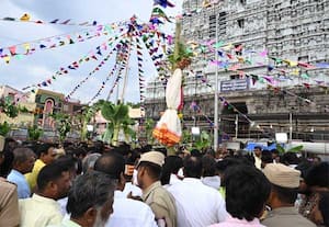  திருவண்ணாமலை அருணாசலேஸ்வரர் கோவிலில் கார்த்திகை தீபத் திருவிழாவை ...
