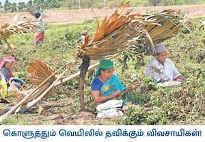 தூத்துக்குடி மாட்டம் கட்டாரிமங்கலம் பகுதியில் நிலவும் கடுமையான ...
