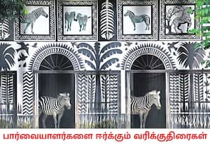 மேற்குவங்க மாநிலம் கொல்கட்டாவின் அலிப்பூர் விலங்கியல் பூங்காவில் ...
