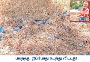 நம் நாளிதழில் விவசாயிகளின் நெல் கொள்முதலில் உள்ள பிரச்னைகள் குறித்து ...