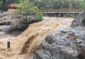 திருவண்ணாமலை மாவட்டம் ஜவ்வாது மலை ஜமுனா புத்தூரில் உள்ள தொடர்மழையால் ...