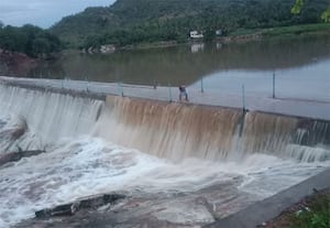  திருப்பத்தூர் மாவட்டம் வாணியம்பாடி  அருகே நீர் பிடிப்பு  பகுதிகளில் ...