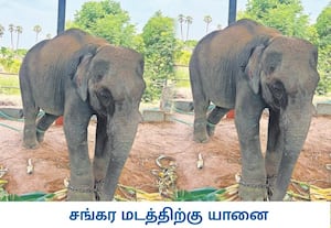காஞ்சிபுரம் மாவட்டம் ஏனாத்தூர் பகுதியில் உள்ள காஞ்சி சங்கர மடத்திற்கு ...