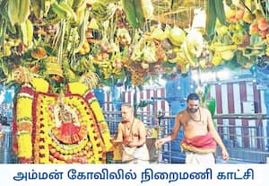சென்னை திருவேற்காடு தேவி கருமாரியம்மன் கோவிலில் பழங்கள், காய்கறிகள், ...