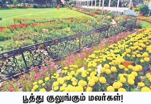 ஊட்டி தாவரவியல் பூங்காவில் இரண்டாம் சீசனுக்காக மாடத்தில் ...