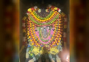 புரட்டாசி 3ம் சனிக்கிழமையொட்டி, திட்டக்குடி அடுத்த புத்தேரி வரதராஜ ...