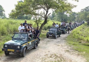 அசாம் மாநிலம் கோலாகாட்டில் உள்ள காசிரங்கா புலிகள் காப்பகம் பருவமழை ...