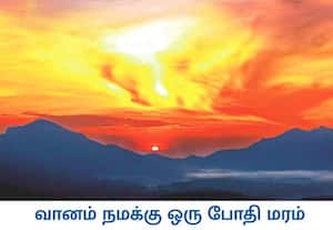   இயற்கையின் பேரழகை சுமந்து நிற்கும் சுற்றுலா தலமான கேரள மாநிலம் இடுக்கி ...
