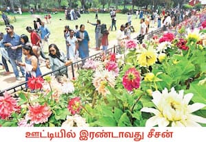   ஊட்டி தாவரவியல் பூங்காவில் இரண்டாம் சீசனை முன்னிட்டு காட்சிக்கு ...