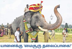   கர்நாடக மாநிலம் மைசூரில் தசரா திருவிழா உலக புகழ்பெற்றது. இந்த ...