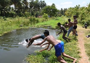 பகலில் வெயிலின் தாக்கம் அதிகரிப்பால் பொள்ளாச்சி அருகே ஆனைமலை நீர் ...