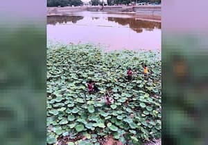 மதுரை மீனாட்சி அம்மன் கோயில் பராமரிப்பில் உள்ள மாரியம்மன் ...