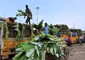 ஆயுத பூஜையை முன்னிட்டு, சென்னை கோயம்பேடு மார்க்கெட்டில் ...