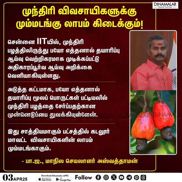 முந்திரி விவசாயிகளுக்கு மும்மடங்கு லாபம் கிடைக்கும்! 