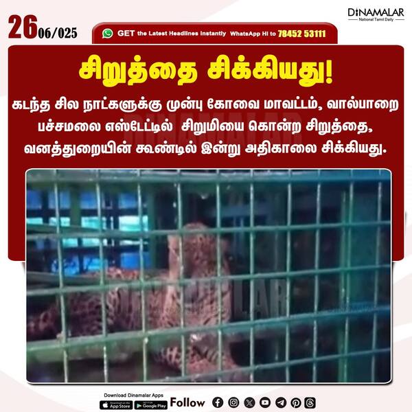 சிறுத்தை சிக்கியது! 