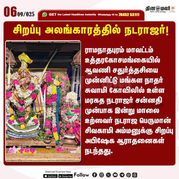 சிறப்பு அலங்காரத்தில் நடராஜர்! 