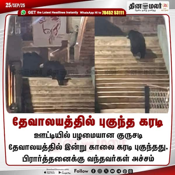 தேவாலயத்தில் புகுந்த கரடி 