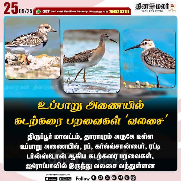 உப்பாறு அணையில் கடற்கரை பறவைகள் வலசை 