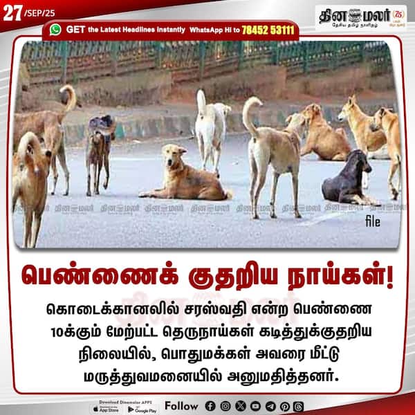 பெண்ணைக் குதறிய நாய்கள்! 