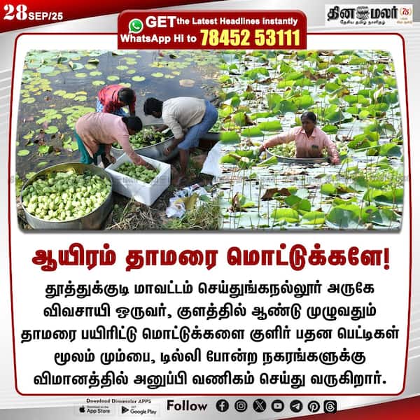 ஆயிரம் தாமரை மொட்டுக்களே! 